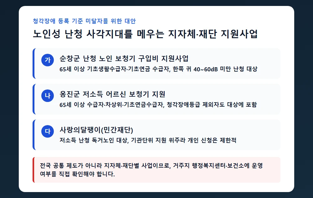 노인성 난청 사각지대를 메우는 지자체·재단 대안 지원사업 정리